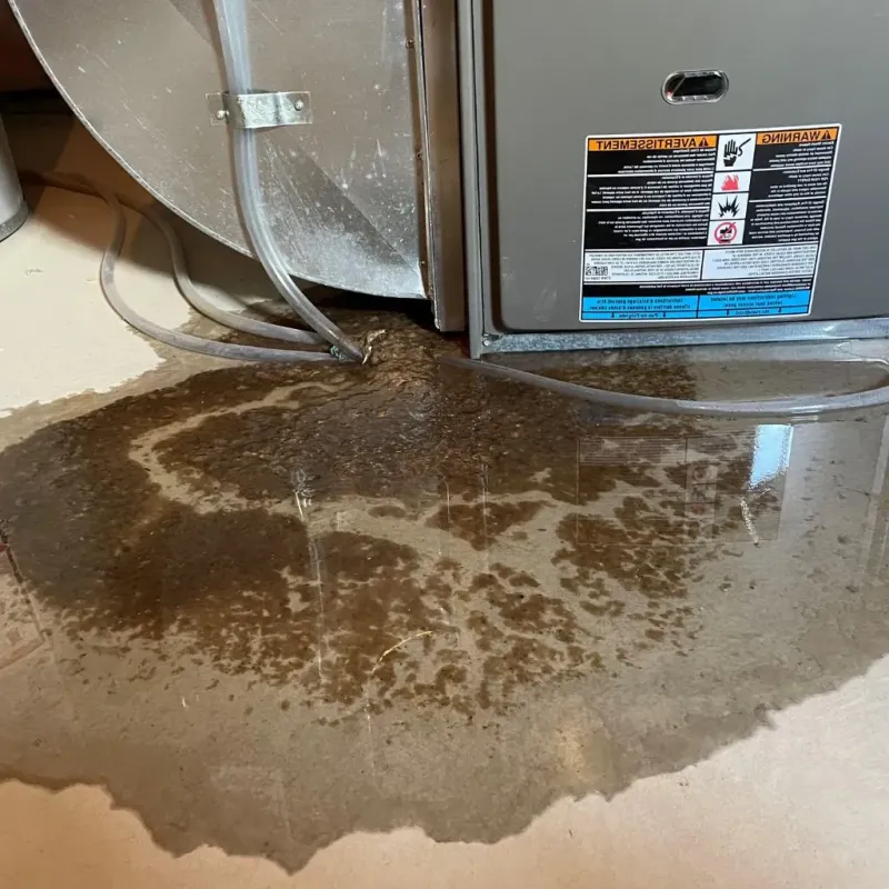 Pipe Burst and Leak Restoration in Stone Ridge, NY